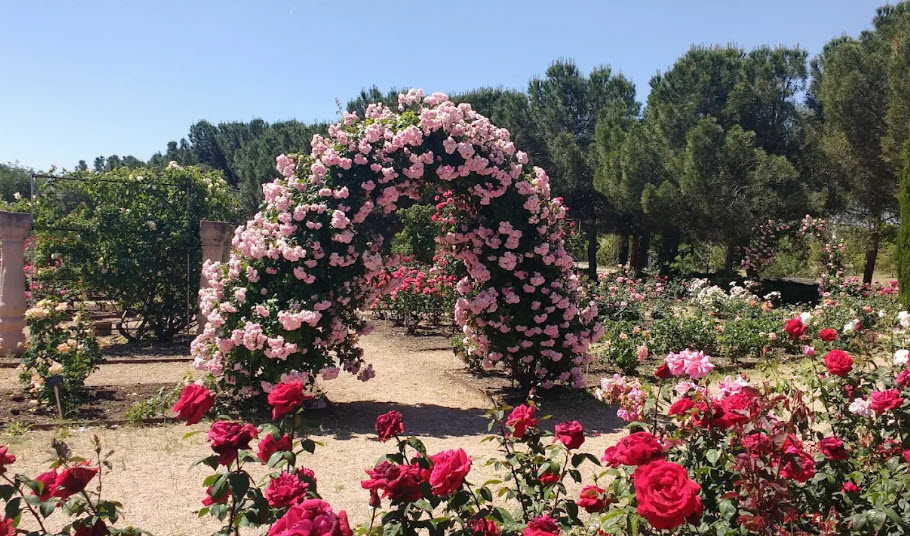Royal Botanic Garden Juan Carlos I, Spain